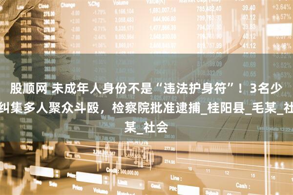股顺网 未成年人身份不是“违法护身符”！3名少年纠集多人聚众斗殴，检察院批准逮捕_桂阳县_毛某_社会