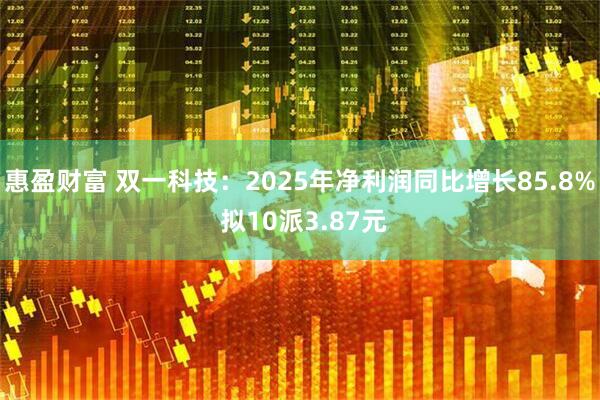 惠盈财富 双一科技：2025年净利润同比增长85.8% 拟10派3.87元